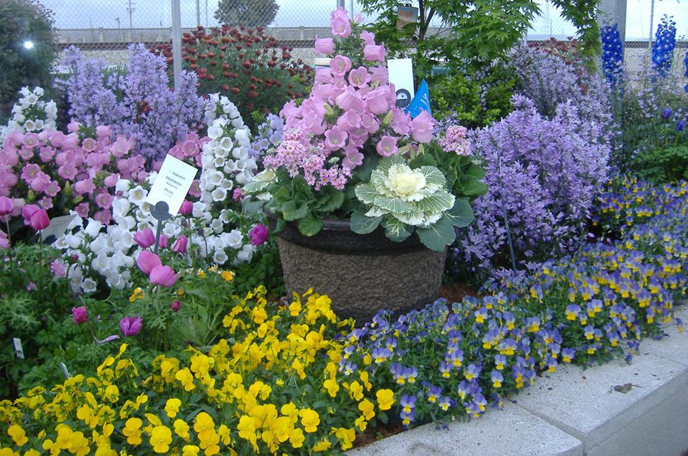 A M S Core Business Is Growing Containers For Growers Across A M S Core Business Is Growing