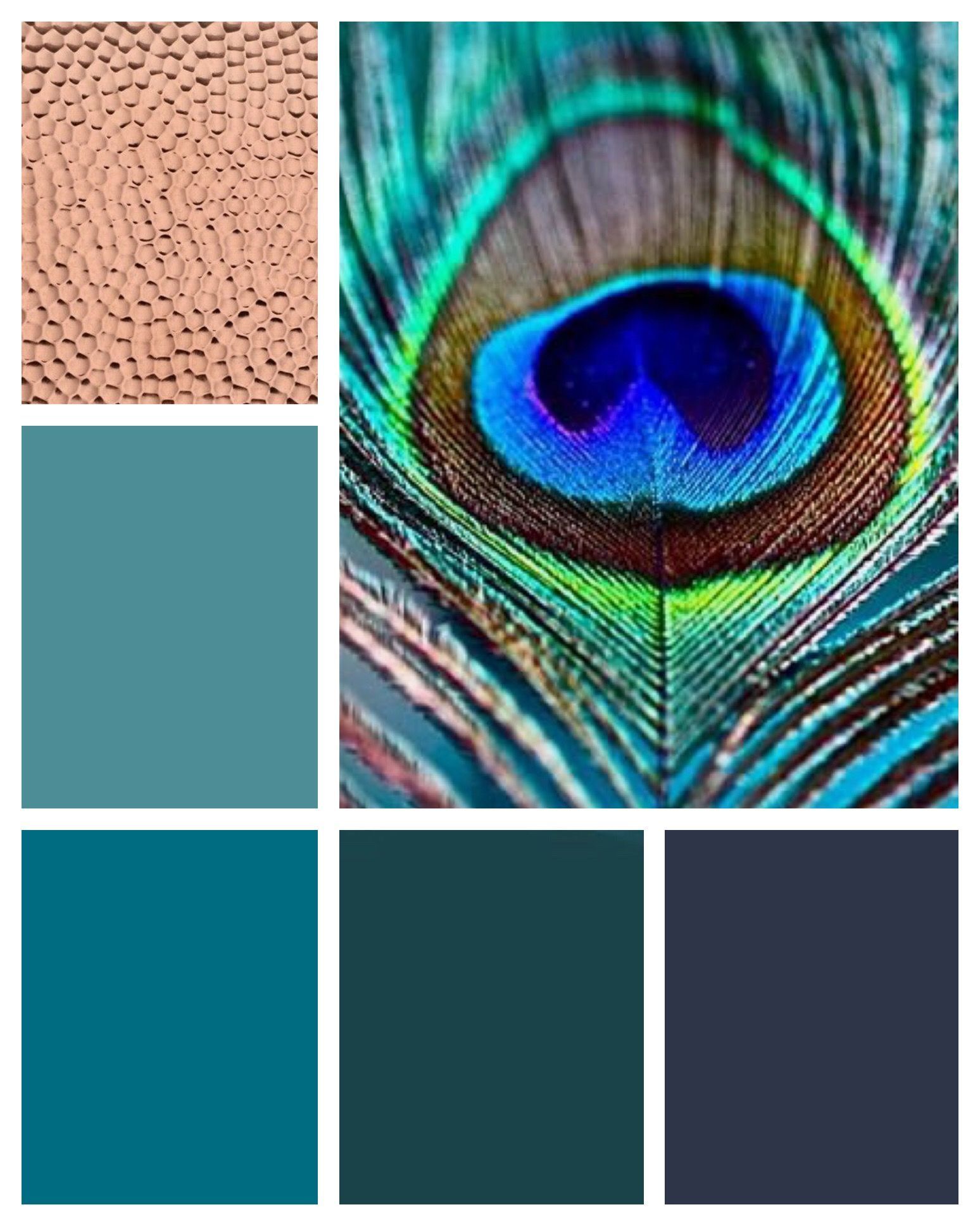 Architecture What Colours Go With Turquoise Coral And That Goes In Color Designs 15 Family Room Makeover Room Colors Color Inspiration