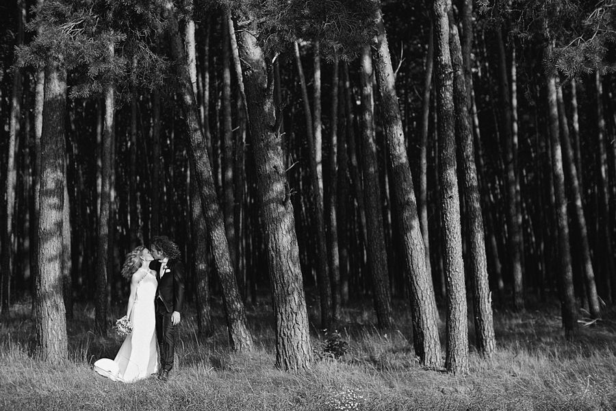 Diy Sommerhochzeit In Der Eigenen Scheune Sommerhochzeit Hochzeit Hochzeitsfotograf