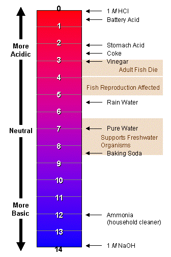 unbalanced ph levels in body symptoms unbalanced ph levels in body symptoms