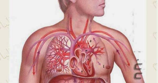 جسم الإنسان حقائق مذهلة تثير الإندهاش Tattoos