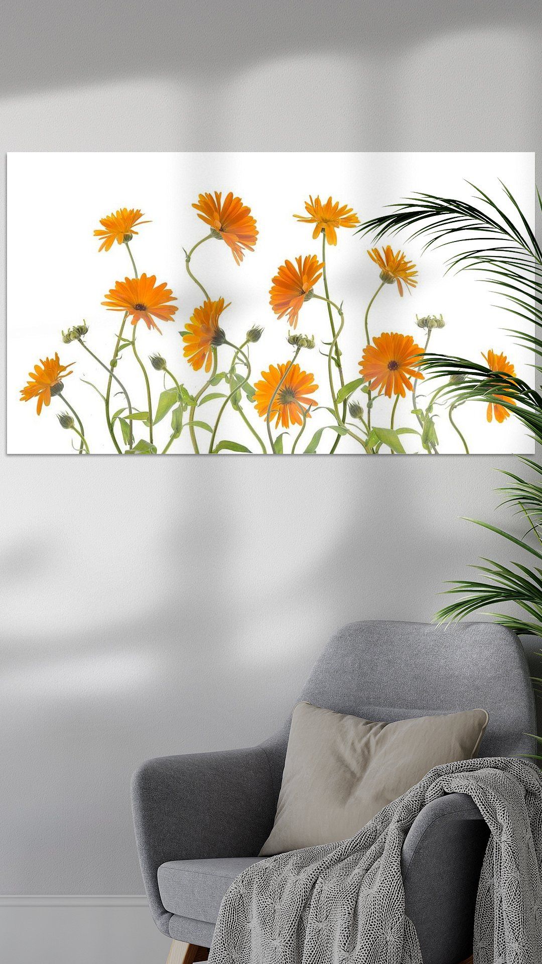 Koop het kunstwerk 'Goudsbloemen 1' van Fionna Bottema als schilderij op canvas, aluminium dibond, HD Metal, (ingelijste) fotoprint, behang, en meer. Fionna, Tapestry, Canvas, Prints, Home Decor, Products, Hanging Tapestry, Tela, Tapestries