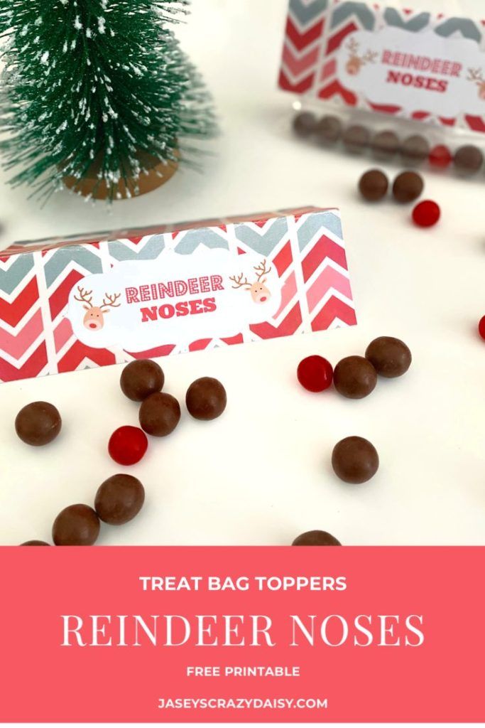 Reindeer Noses Printables - Jasey's Crazy Daisy | Reindeer noses, Reindeer noses free printable ...