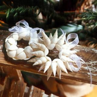 best 25 seashell christmas ornaments ideas on pinterest christmas ornament shell