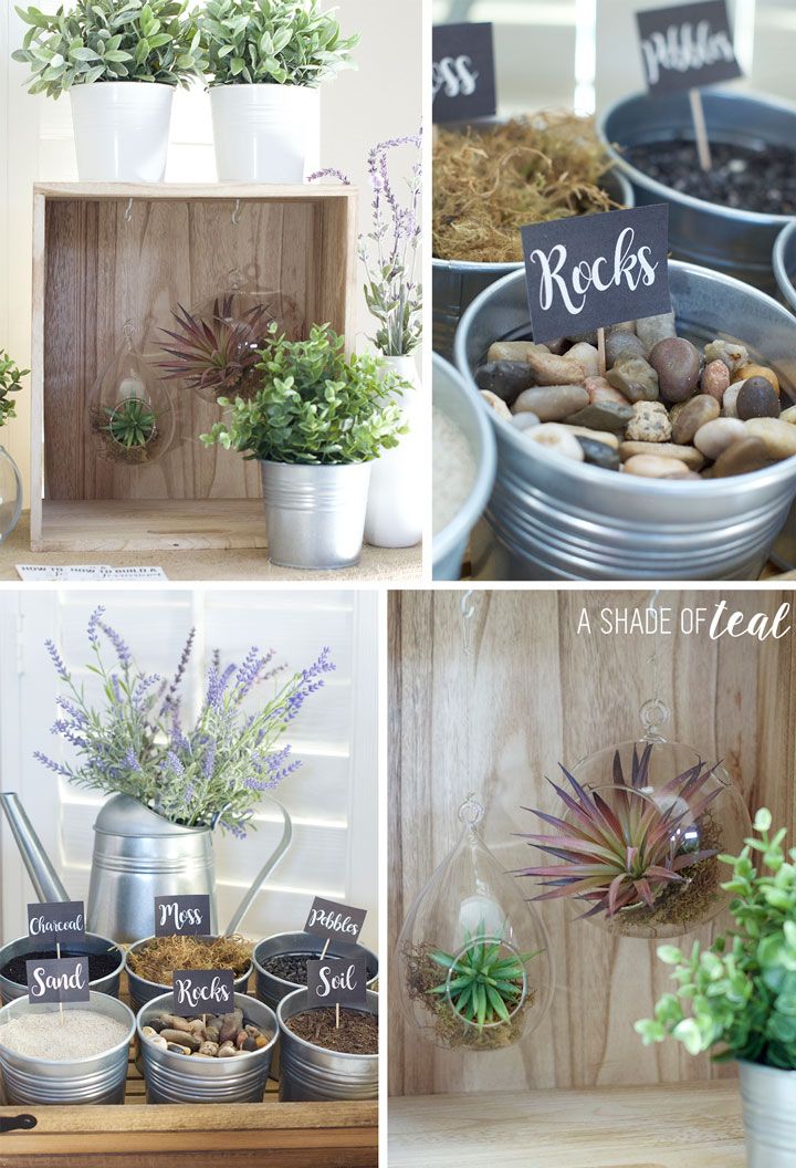 How-to-make-a-Terrarium-Party.7 Open Terrariums, How To Make Terrariums, Garden Terrarium, Succulent Terrarium, Terrarium Wedding, Terrarium Ideas, Girls Night Crafts, Craft Night, Air Plants