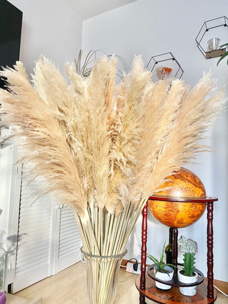 LARGE Luxury Pampas Grass 85-120cm.wedding.bridal Baby - Etsy UK Wedding Altars, Wedding Arch, Wedding Bridal, Boho Wedding, Dream Wedding, Wedding Ideas, Wedding Dresses, Dried Flower Arrangements, Dried Flowers