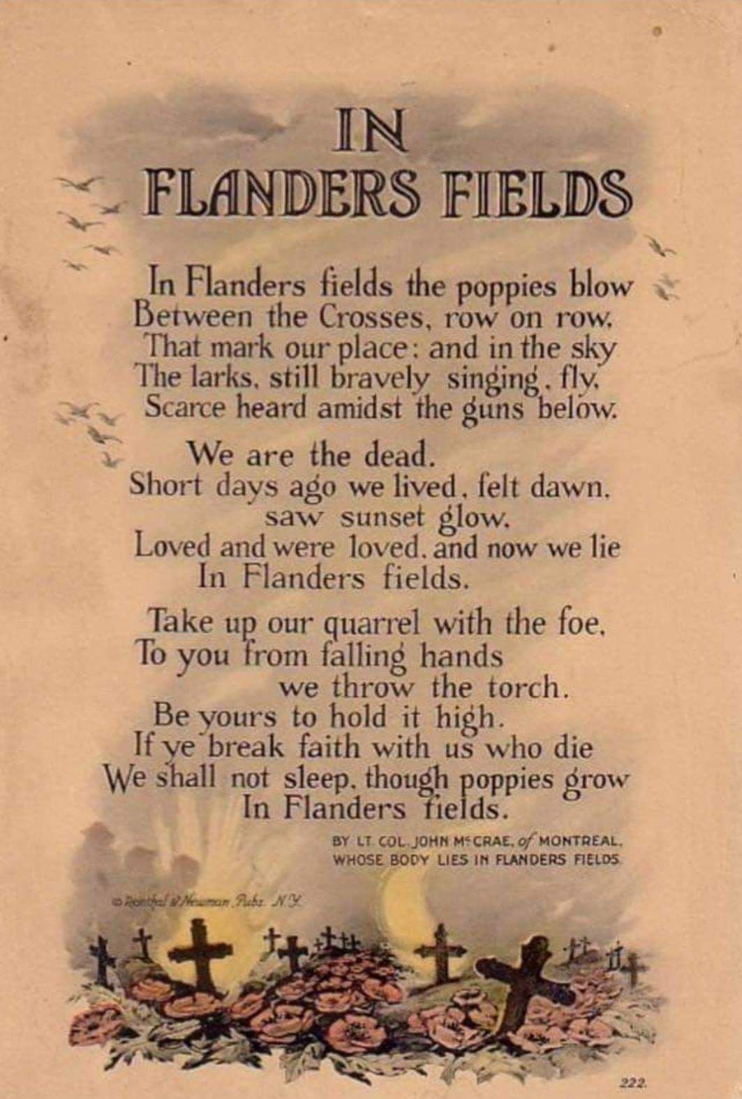 Pin By Chelle Montrond On Food For Thought Remembrance Day History World War One