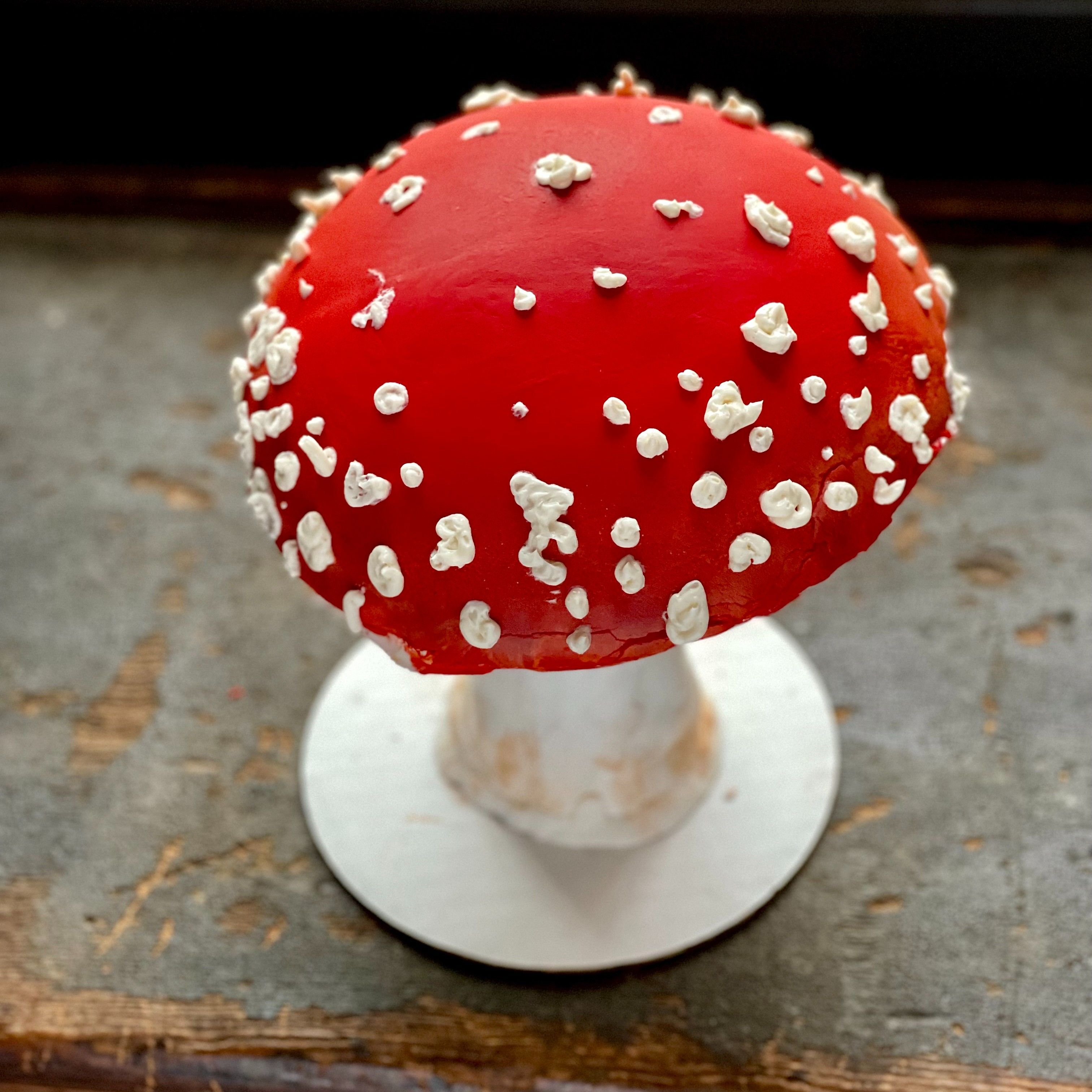 This Mushroom oh Yeah You Can EAT IT This Was One Of The Most this-mushroom-oh-yeah-you-can-eat-it-this-was-one-of-the-most