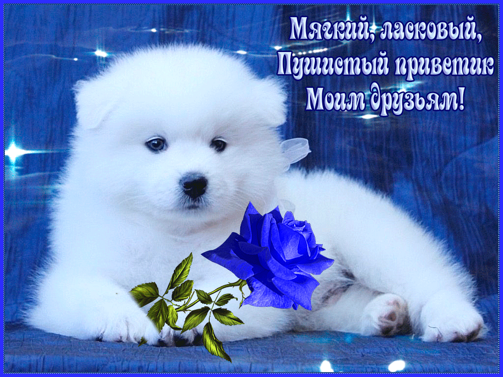 Картинки друзьям привет