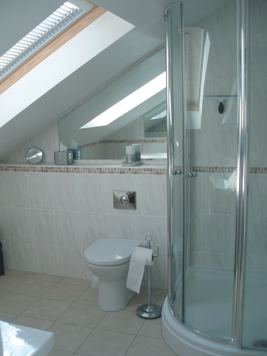 Wonderful Small Loft Bathroom Ideas Part - 11: Bathroom-Loft-Conversion-02 | Attic Rooms | Pinterest | Lofts, Attic And Attic Bathroom