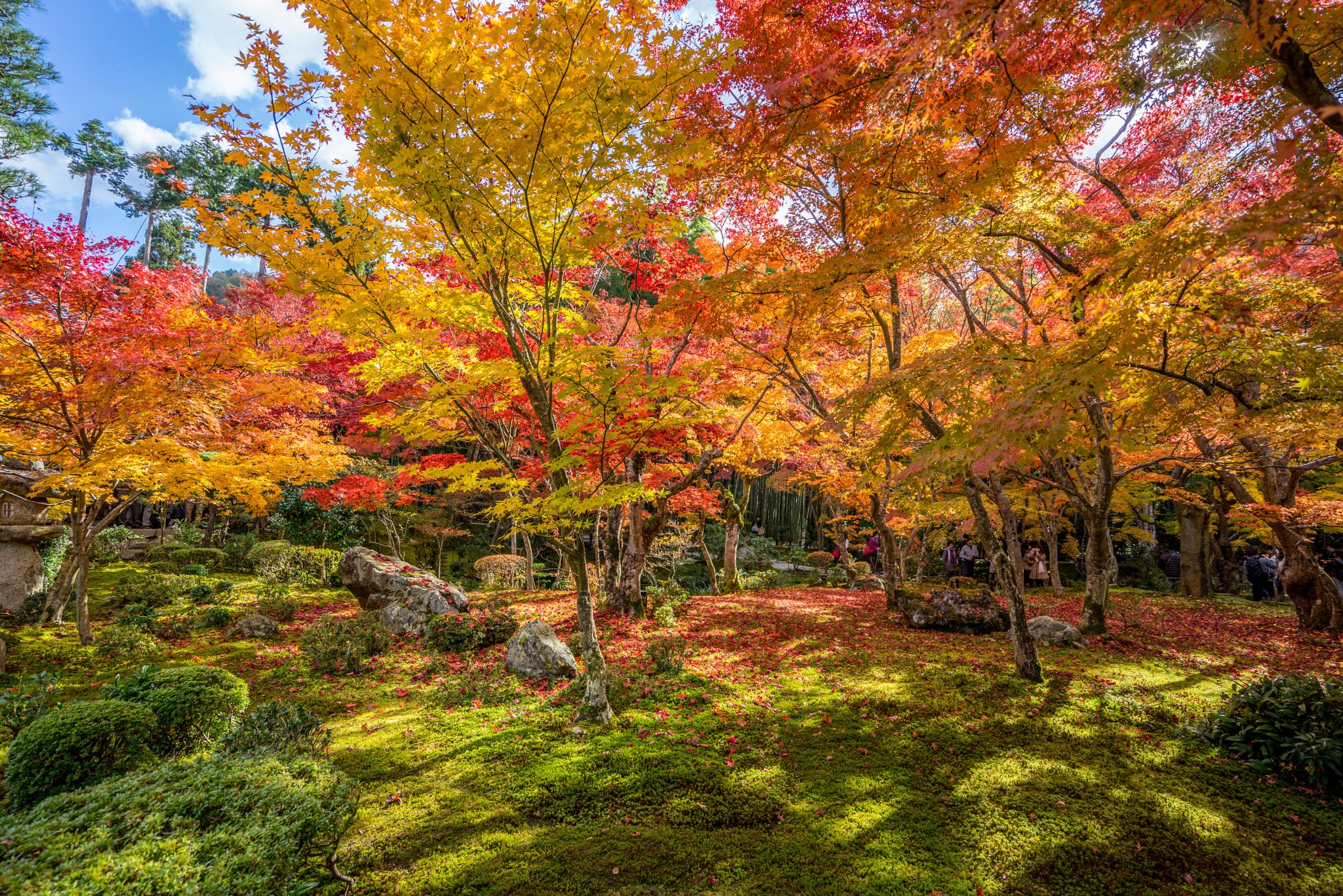 Kyoto's Autumn Colors Fall colors, Landscape, Landscape photos
