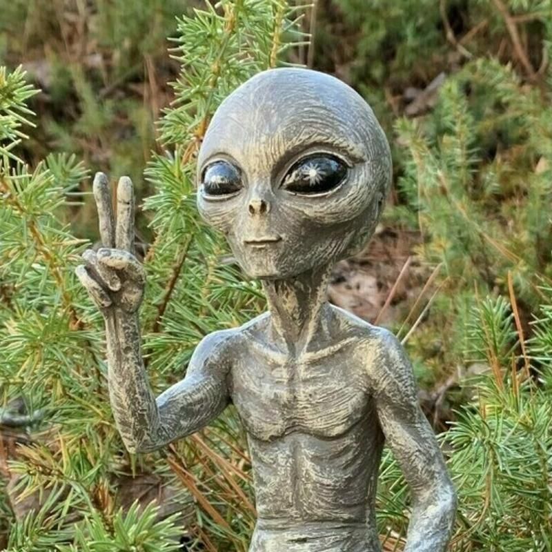 The newest members of these "ancient mysteries" attract fans from this world and beyond. These alien creatures (aka "friends") are not only designed for outdoor gardens, terraces, swimming pools, or home use. Everyone has been specially hand-made to reflect the realistic appearance of these aliens that pierce the eye of the world's space. We know that if they spent thousands of years looking down at us humans and even learned one or two things, they would have a sense of humor. Therefore, everyo Gifts For Art Lovers, Lovers Art, Outdoor Gardens, Indoor Outdoor, Outdoor Decor, Outdoor Backyard, The Alien, Statue Art, Alien Figure
