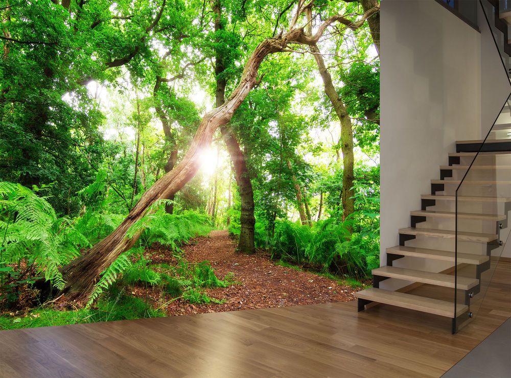 Plants Forest Trees Green Nature Wall Mural Photo Wallpaper GIANT WALL DECOR