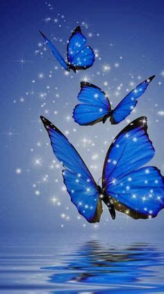 Fondos De Pantalla Animados A Butterflies By Fantastic