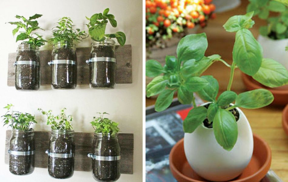 7 Ideas Para Iniciar Tu Propio Huerto Orgánico Con Poco Espacio Huerto Organico Como Hacer Un Huerto Huerta En Macetas
