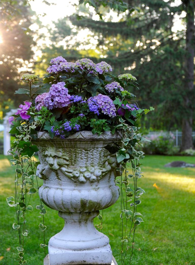 Gardens at First Light - gorgeous garden book with great inspiration!