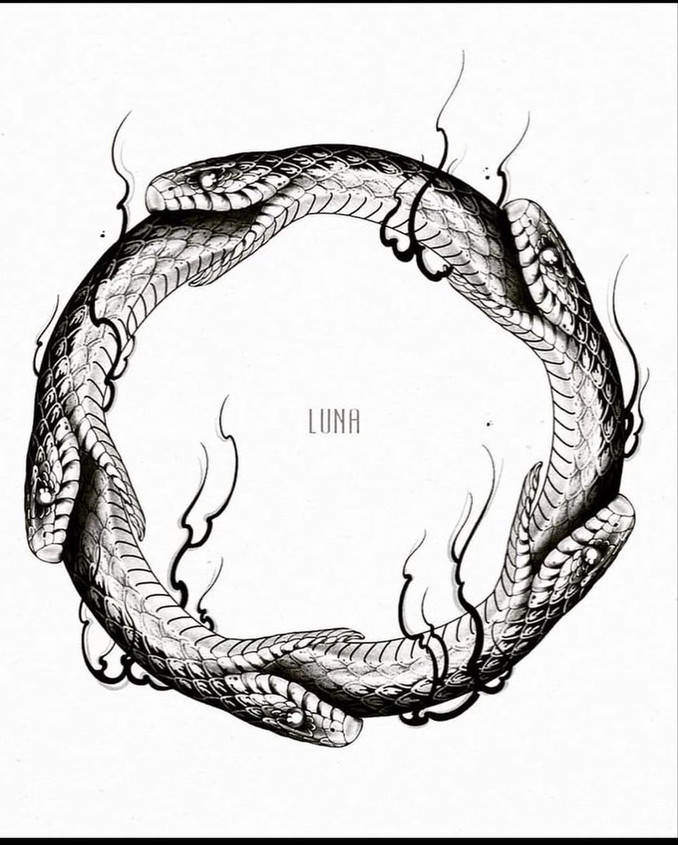 Pin On Desenhos coisas Assim Ouroboros Tattoo Hand Tattoos For Guys Pin On Desenhos coisas Assim Ouroboros Tattoo Hand Tattoos For Guys