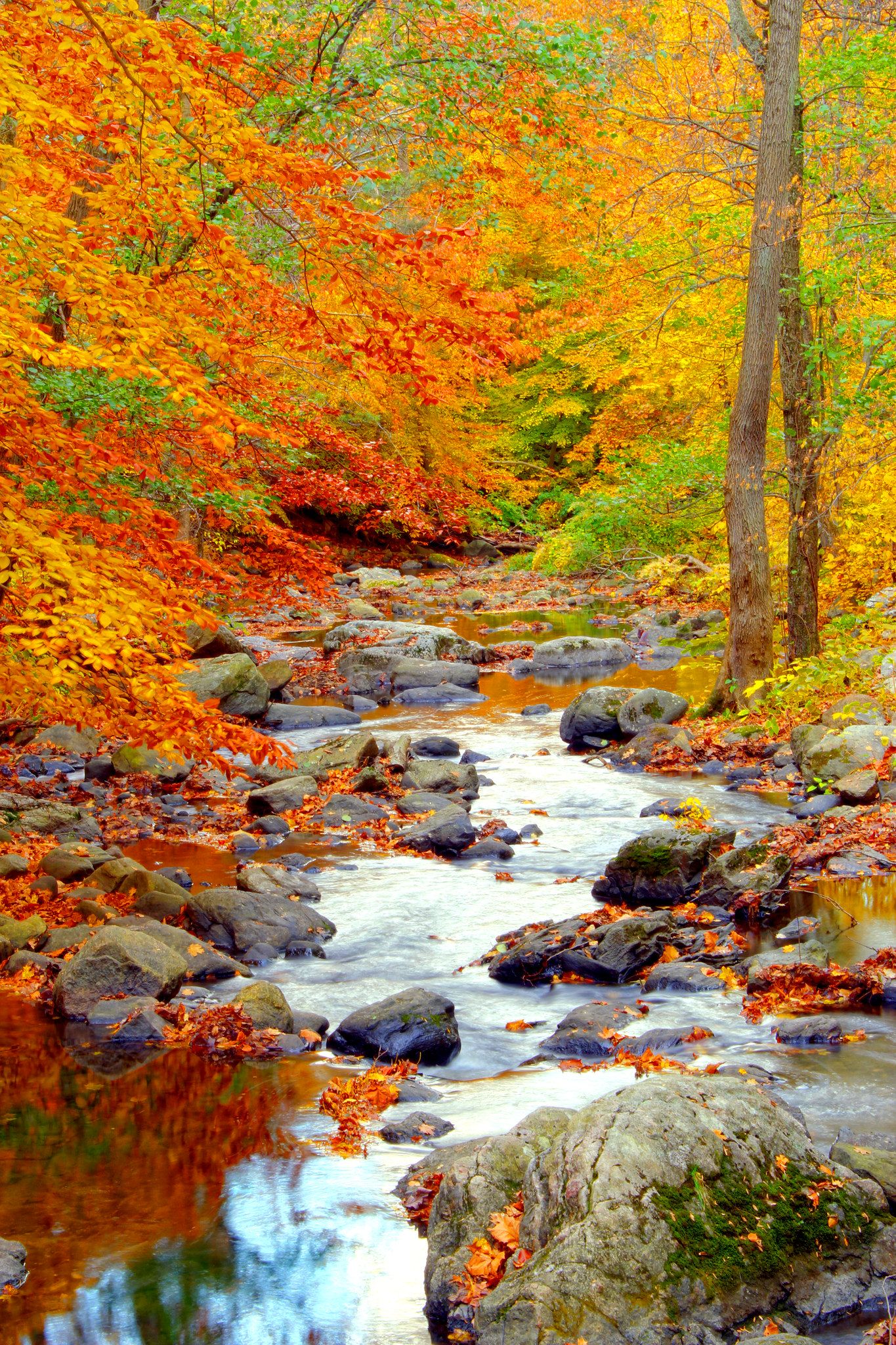 Gone Till November Autumn scenery Autumn landscape Autumn scenes Gone Till November Autumn scenery Autumn landscape Autumn scenes