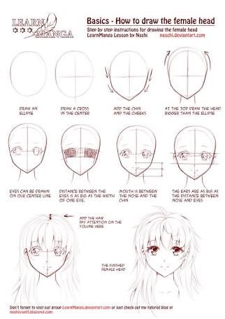 Manga Face Proportions