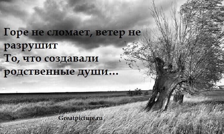Бывают такие моменты, когда неприятные ситуации приходят в нашу жизнь и отравляют наше хорошее самочувствие.Если вас нежданно вдруг толкнули в спину, Lockscreen, Movies, Movie Posters, Films, Film Poster, Cinema, Movie, Film, Movie Quotes
