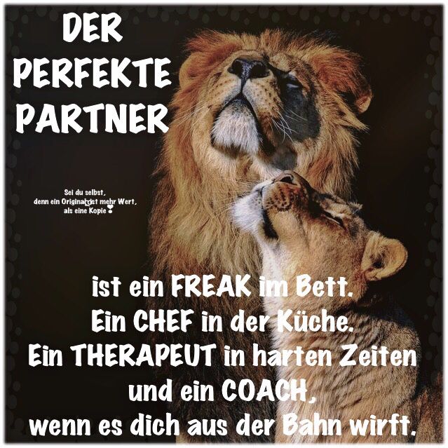 ️༻´`•* Lebensweisheiten sprüche, Nachdenkliche sprüche, Weisheiten