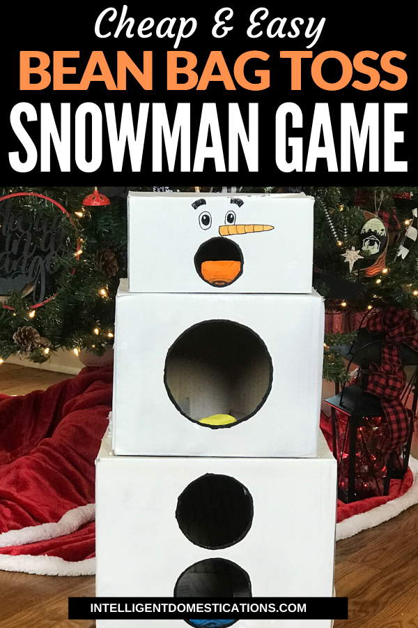 Cheap And Easy Cardboard Box Snowman Bean Bag Toss Game