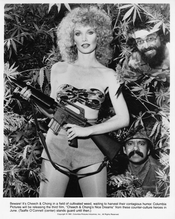 Cheech And Chong Quotes Nice Dreams Cheech And Chong Quotes Nice Dreams