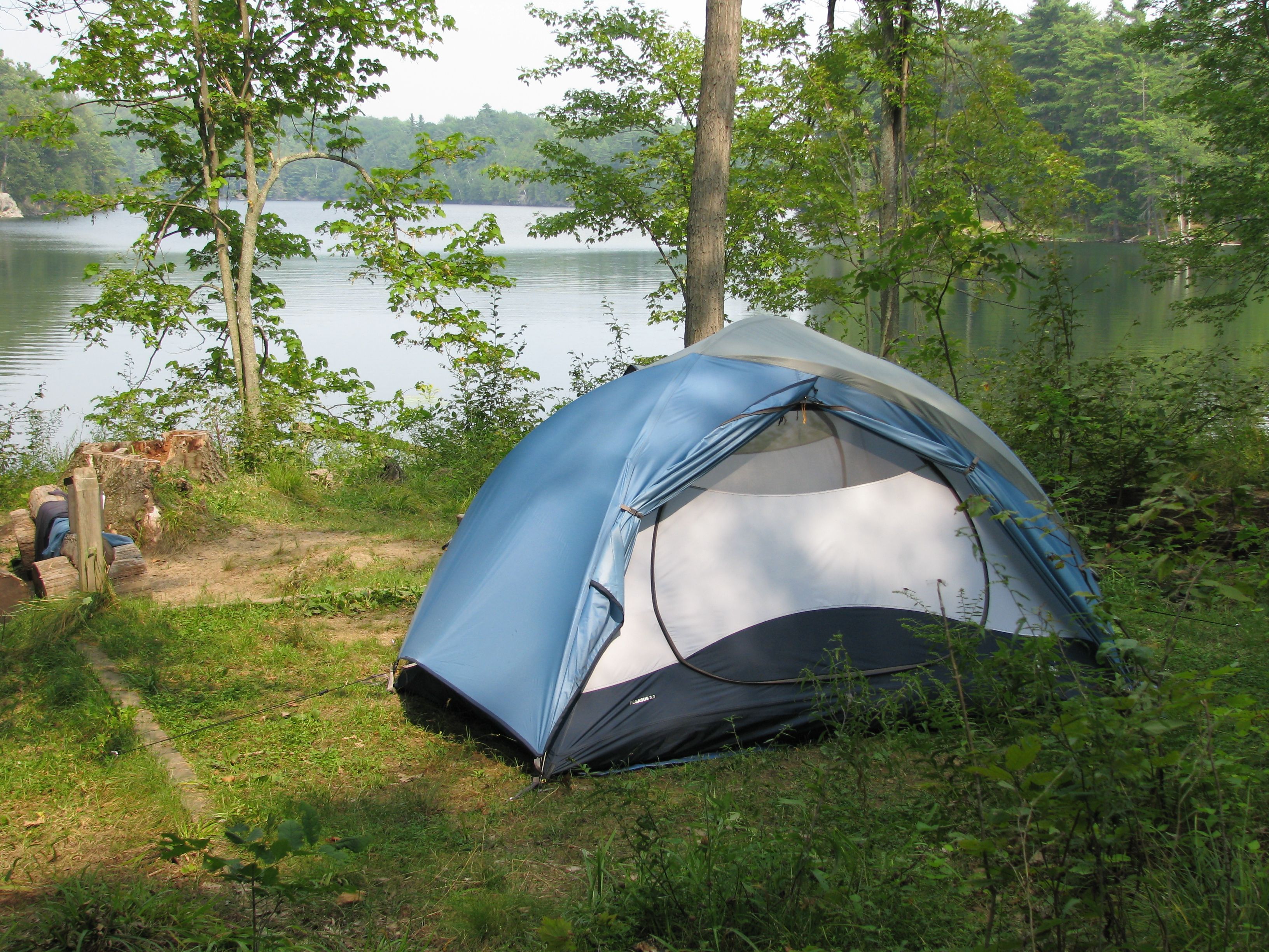 Camping In Brent Campground Algonquin Best Campgrounds Campground Camping Experience
