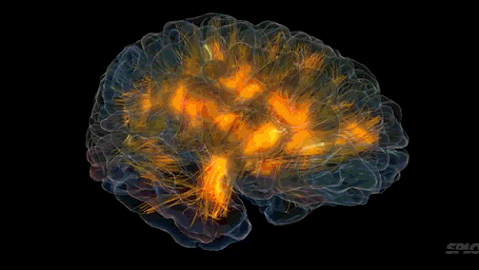 Scientists create system that shows your brain activity in 3D | Brain activities, Brain gif, Brain neurons