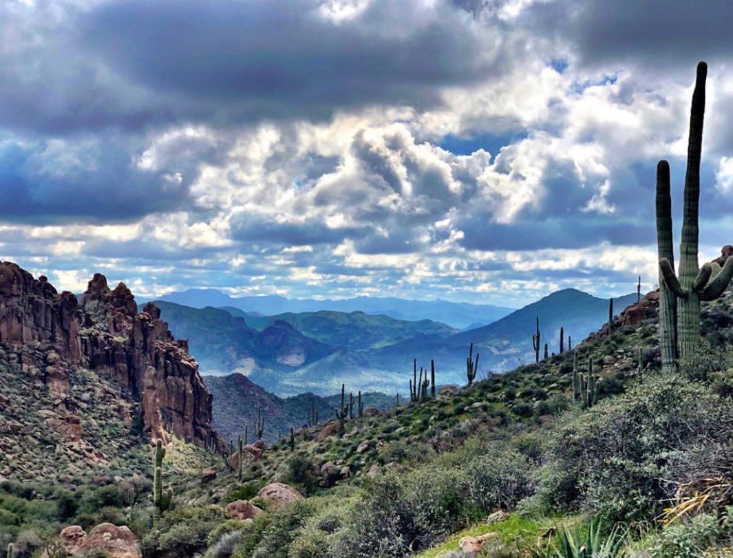 Pin on I Love Arizona - Desert 2