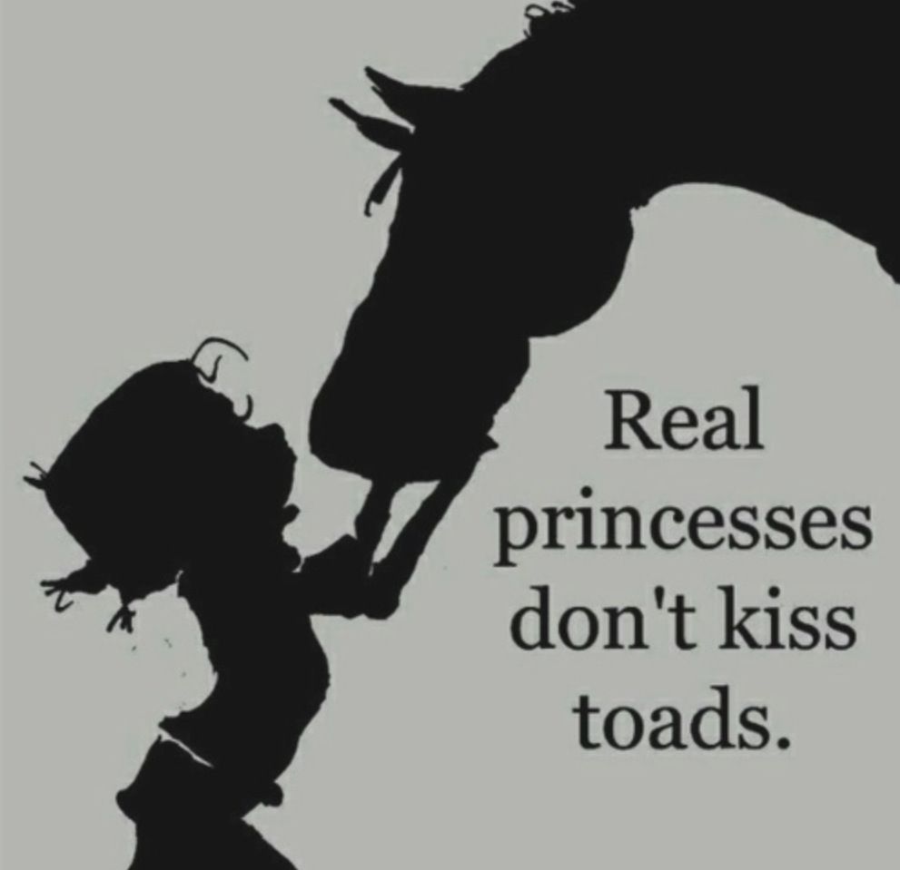They Kiss Horses Horse Quotes Horse Quotes Funny Horse Love