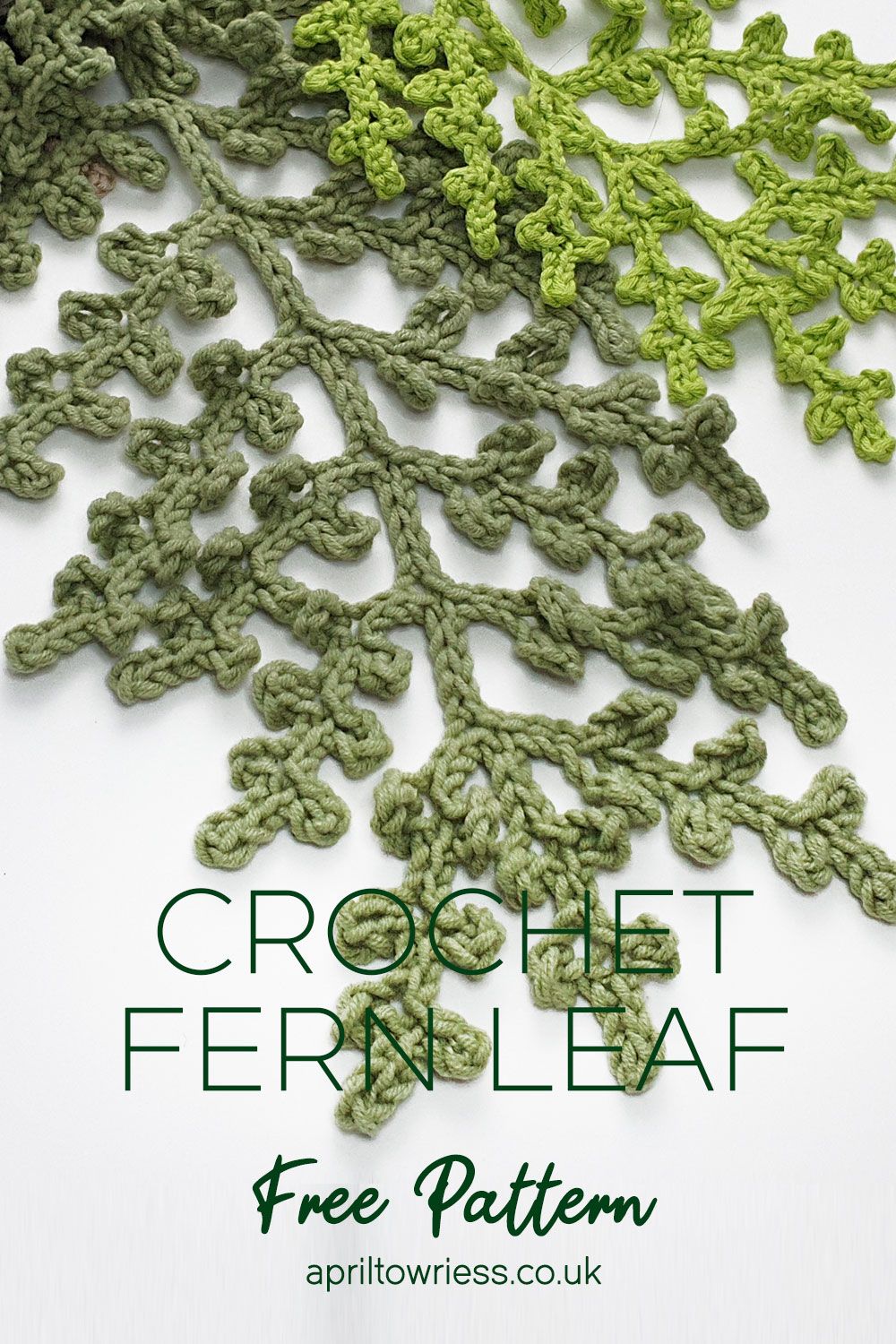 Crochet Fern Leaf Video Tutorial | Crochet leaf patterns, Crochet plant