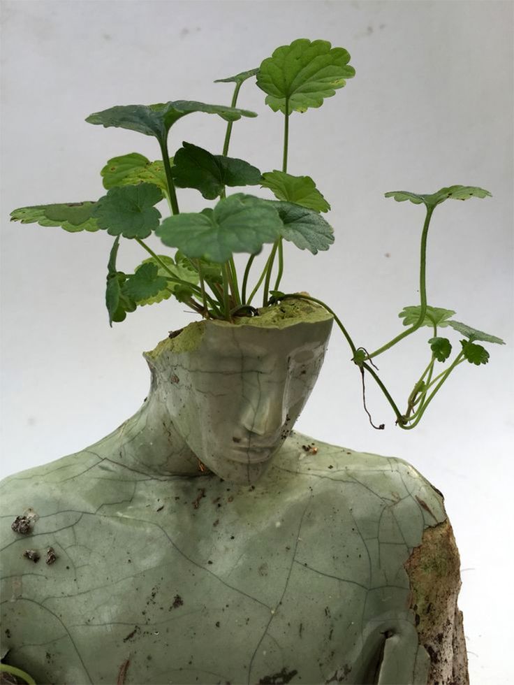 Pin On Ceramics