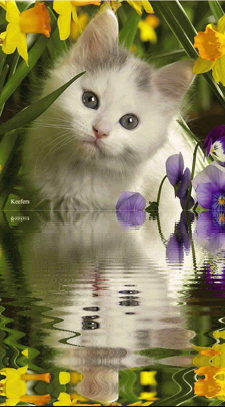Https Encrypted Tbn0 Gstatic Com Images Q Tbn 3aand9gcrljj3vchscbki7mfpkod6no34ojai3fyutobr8 N82on8ornjl Usqp Cau