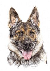 Pin By Setsuo Genroku On アニマル色鉛筆画 Dog Canvas Art Dog Paintings Dog Art Pin By Setsuo Genroku On アニマル色鉛筆画 Dog Canvas Art Dog Paintings Dog Art