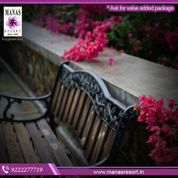 If you want to surprise your loved one to a romantic getaway, look no more! You must come to our resort and have a lovely and beautiful time together! #ManasResort #Igatpuri #RomanticGetaway Romantic Getaway, Getaways, Surprise, Lovely, Beautiful, Resort, Outdoor Decor