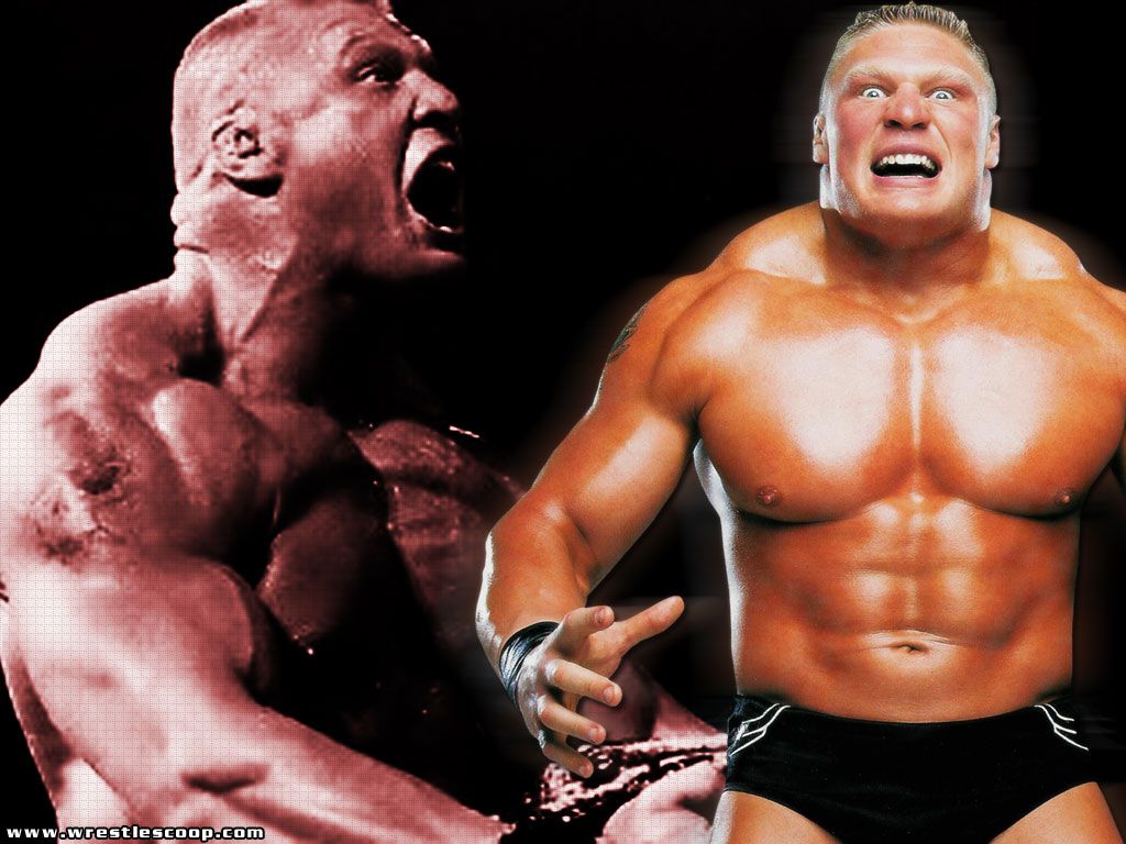 Brock Lesnar Wallpaper Hd Ufc