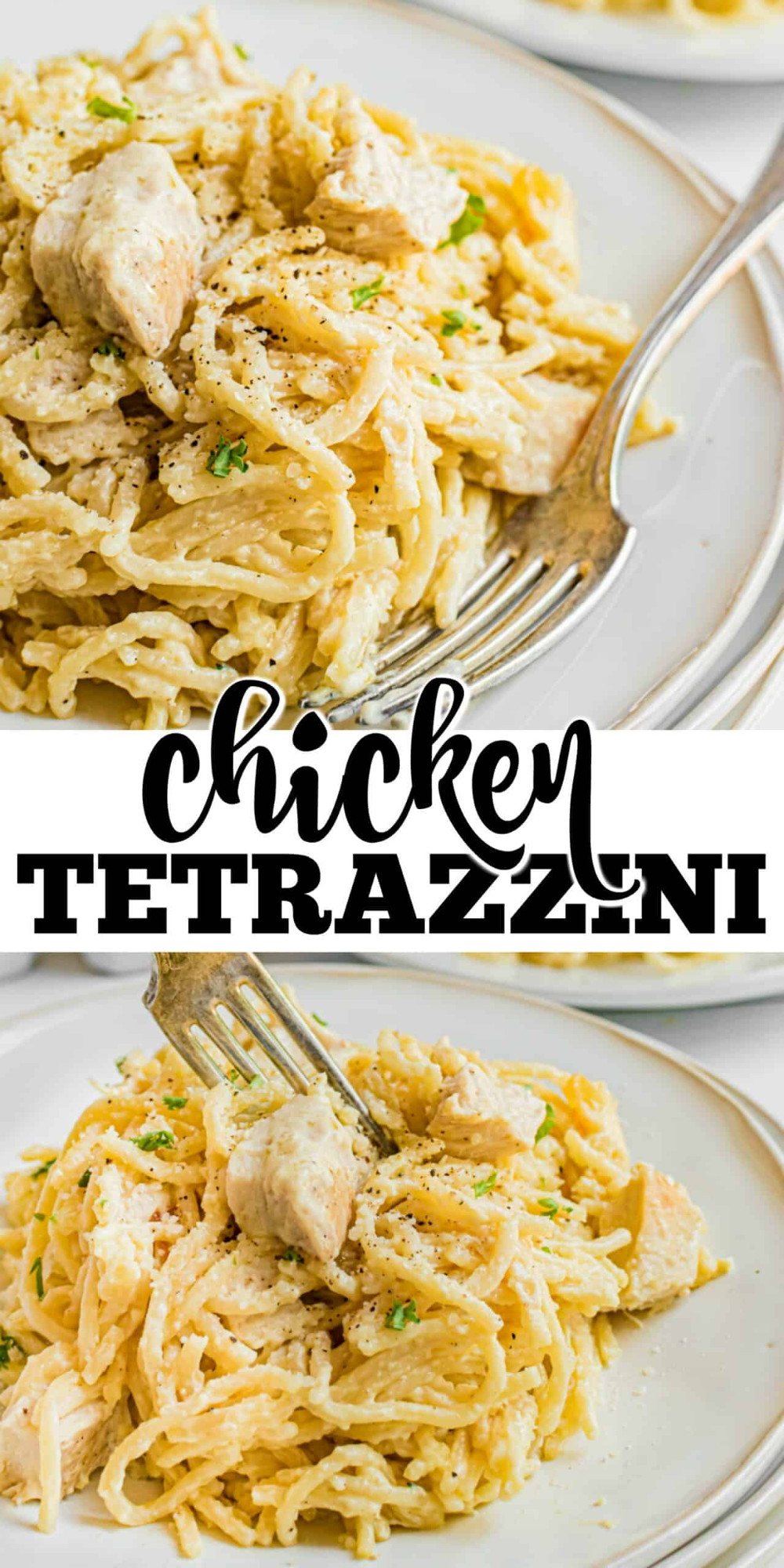 Creamy baked Chicken Tetrazzini recipe is the best weeknight dinner recipe your family will love! Easy and delicious. Easy Chicken Dinner Recipes, Chicken Pasta Recipes, Weeknight Dinner Recipe, Healthy Dinner Recipes Easy, Baked Chicken, Weeknight Dinners, Cheesy Chicken, Chicken Receipes, Chicken Meals