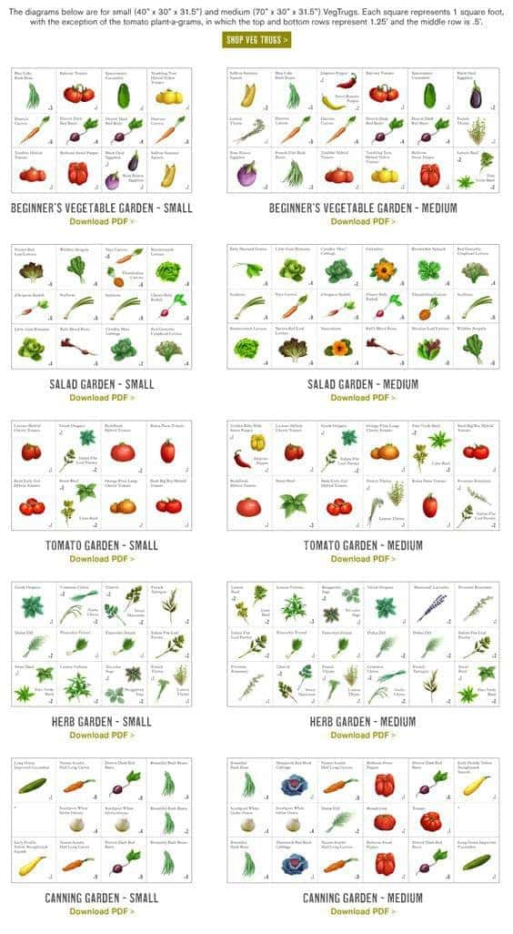 Here are some tips and ideas for planning and designing your small backyard garden. Find it all on this pin. #gardening #gardeningtips #backyardgardening Back Garden Landscaping, Small Backyard Gardens, Small Space Gardening, Back Gardens, Small Gardens, Outdoor Gardens, Backyard Pools, Landscaping Design, Patio Design