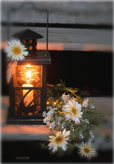 GIFS HERMOSOS: FLORES ENCONTRADAS EN LA WEB