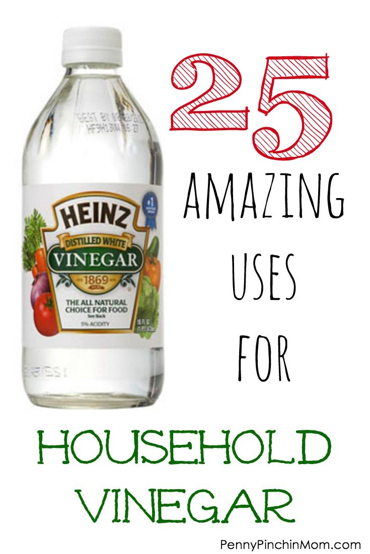 1a26f2bc98637d12b80049a07a449a93 - How To Clean Hummingbird Feeder With Vinegar 2021 how to clean hummingbird feeder with vinegar