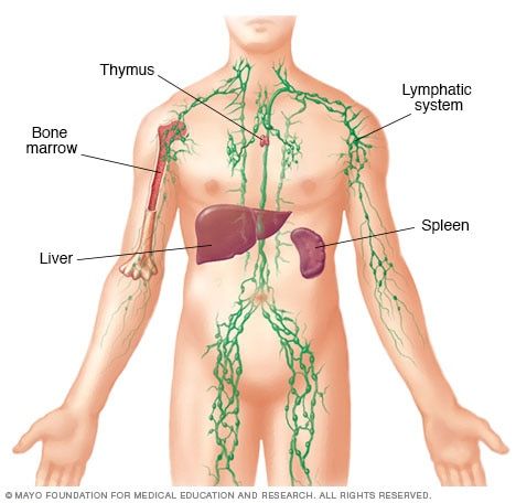 What to Do to Get Rid of Extra Lymph Fluids and Detox Lymph Nodes? Lymphatic sys
