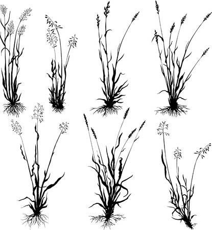 Download Set of grass silhouettes with roots, ears of grass, hand ...