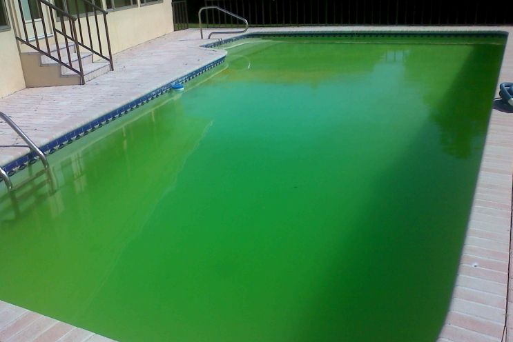 Como Limpiar El Agua De La Piscina Sin Tener Que Cambiarla Por