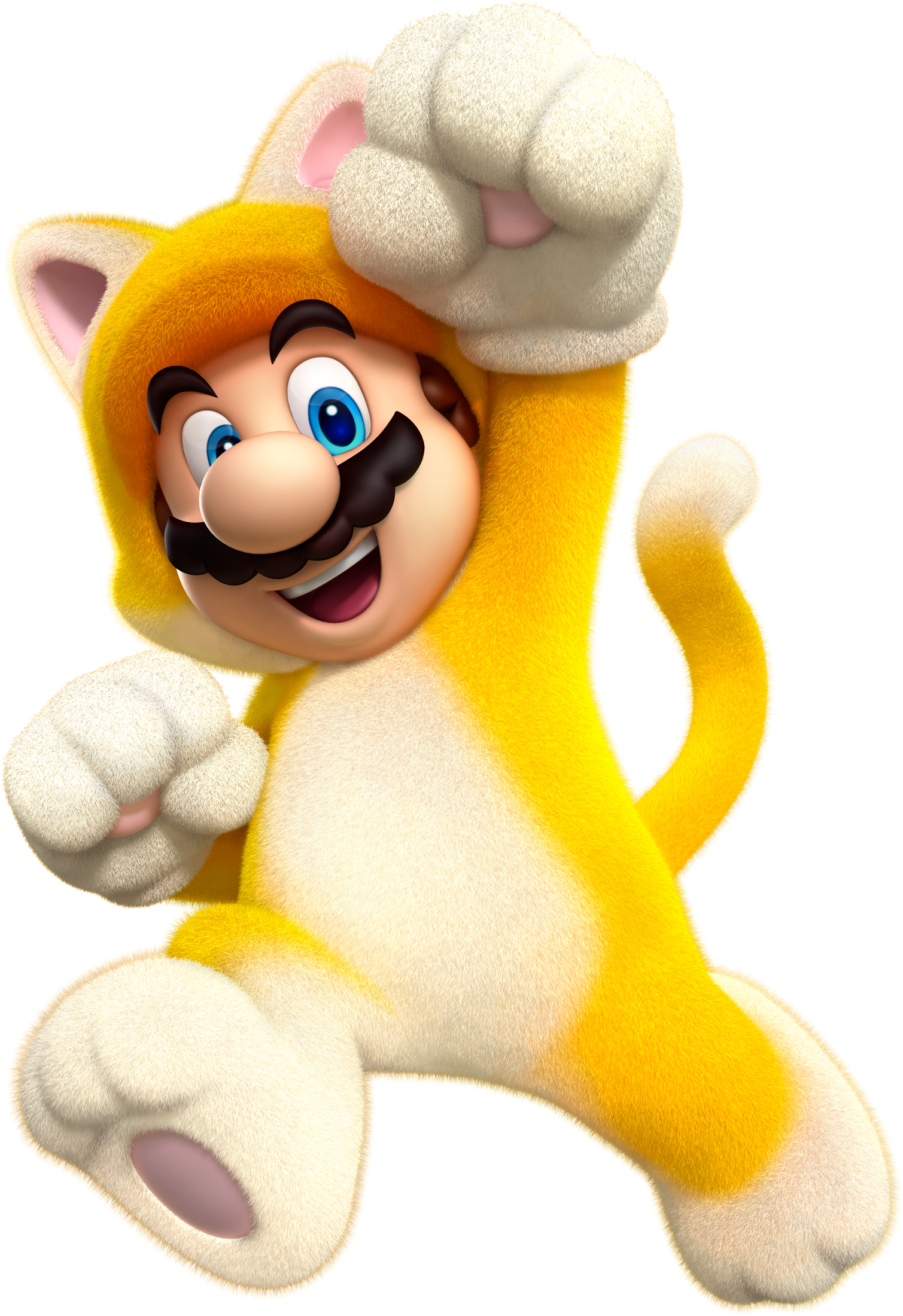 8 Super Cat Ideas Super Cat Cats Super 8 Super Cat Ideas Super Cat Cats Super