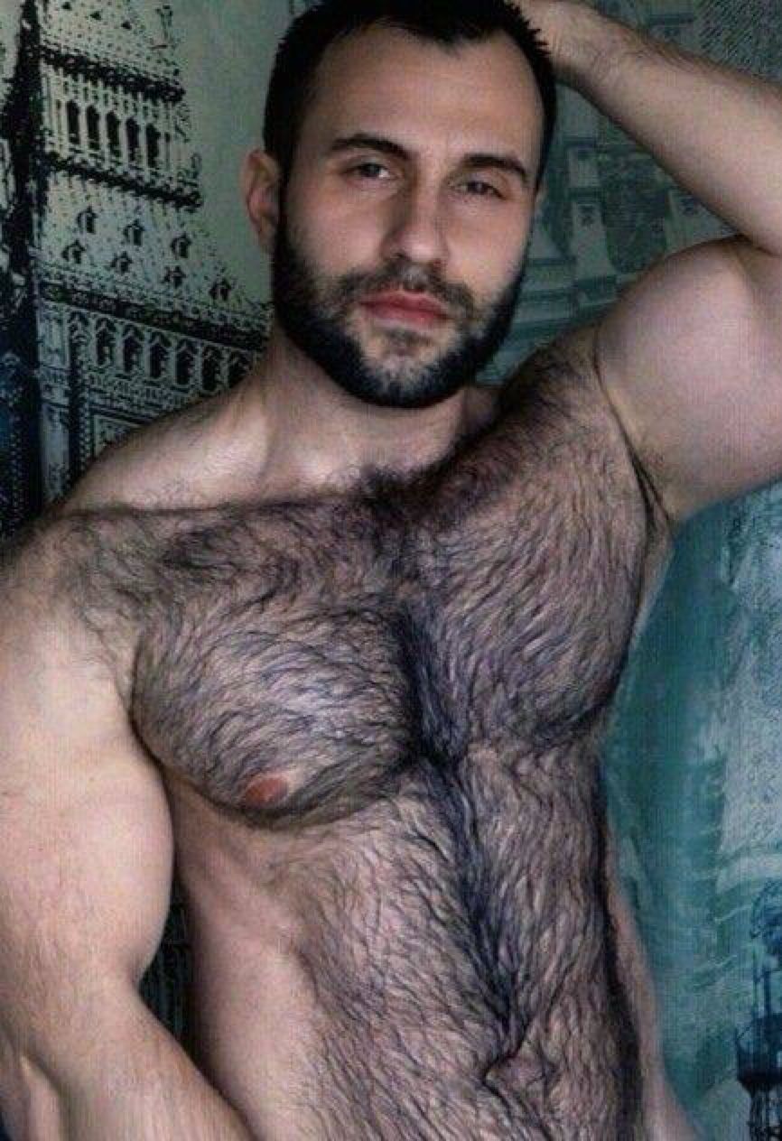 Hairy Hunks Hairy Men Bearded Men Beards Otters Male Chest Hairy Hunks Hairy Men Bearded Men Beards Otters Male Chest