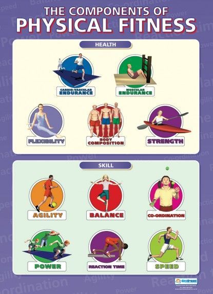 #Der #Die #Fitness #Komponenten #körperlichen #Pädagogische #Schulposter The Components of Physical...