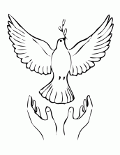 desenhos para pintar pomba da paz 172x222 gif 172 222 pintura