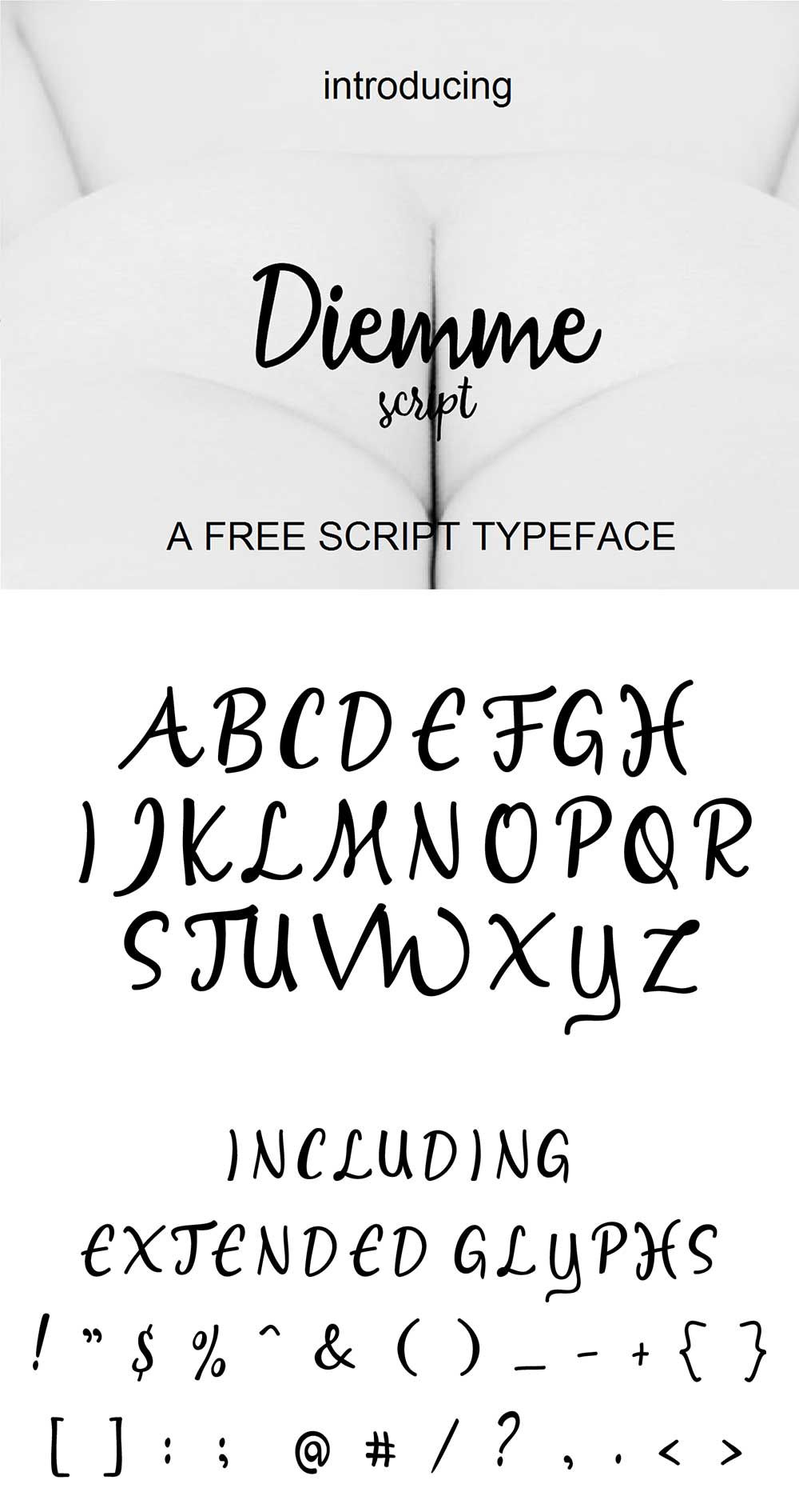free diemme font design typeface choices fonts free typeface modern font styles