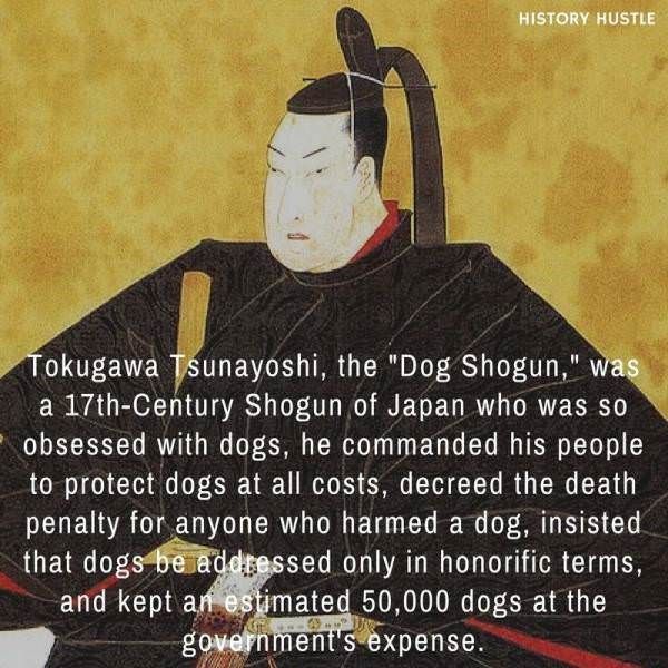 36 Random History Facts That'll Help You Friggin' Dominate At Trivia #historyfacts